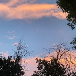 Meet your Posher, Addyson